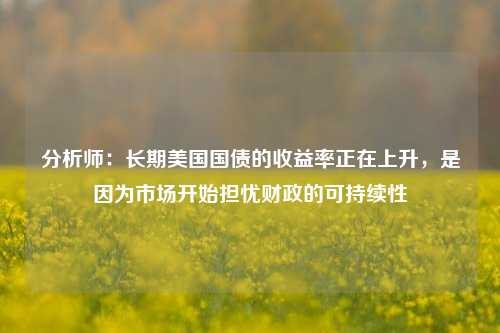 分析师：长期美国国债的收益率正在上升，是因为市场开始担忧财政的可持续性