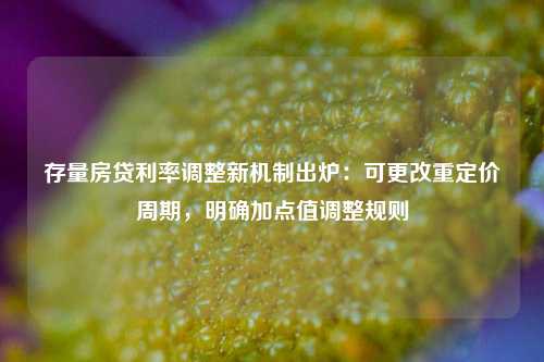 存量房贷利率调整新机制出炉：可更改重定价周期，明确加点值调整规则