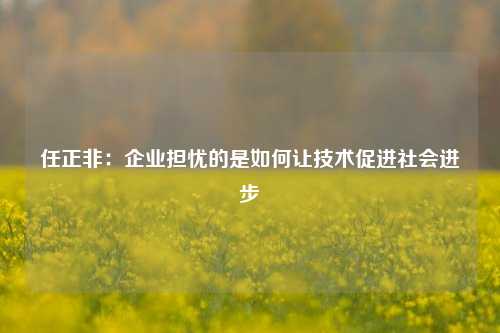 任正非：企业担忧的是如何让技术促进社会进步