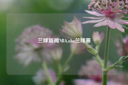 兰球新闻NBA,nba兰球赛