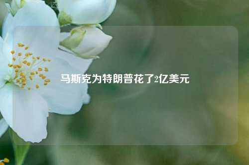 马斯克为特朗普花了2亿美元