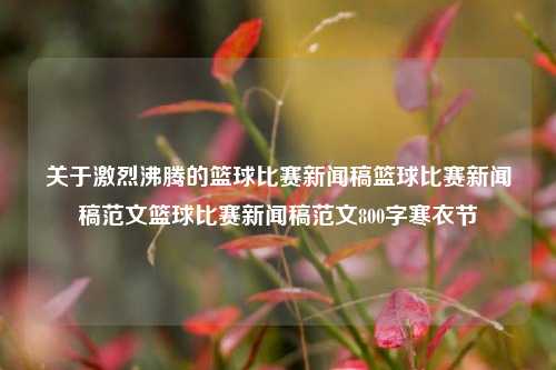 关于激烈沸腾的篮球比赛新闻稿篮球比赛新闻稿范文篮球比赛新闻稿范文800字寒衣节