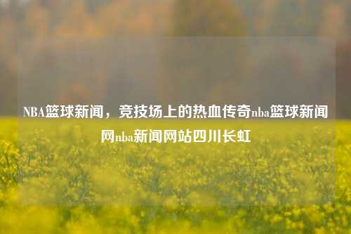 NBA篮球新闻，竞技场上的热血传奇nba篮球新闻网nba新闻网站四川长虹