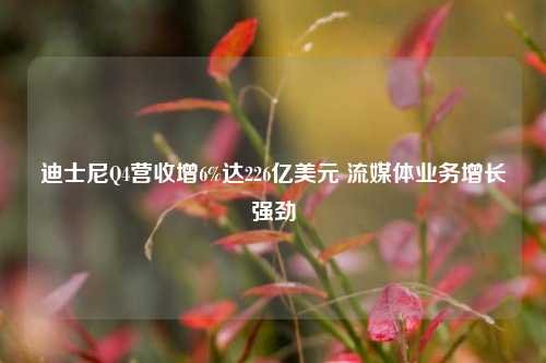 迪士尼Q4营收增6%达226亿美元 流媒体业务增长强劲