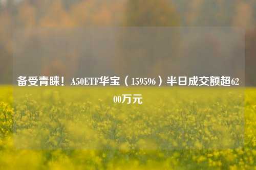 备受青睐！A50ETF华宝（159596）半日成交额超6200万元