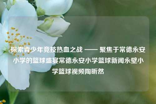 探索青少年竞技热血之战 —— 聚焦于常德永安小学的篮球盛宴常德永安小学篮球新闻永壁小学篮球视频陶昕然