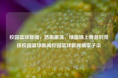 校园篮球新闻，热血激荡，绿茵场上勇者的竞技校园篮球新闻校园篮球新闻稿李子柒