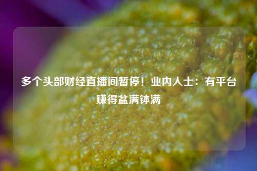 多个头部财经直播间暂停！业内人士：有平台赚得盆满钵满