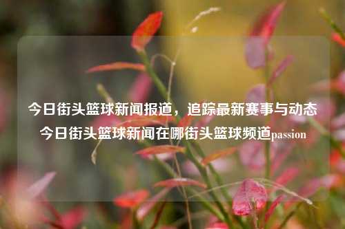 今日街头篮球新闻报道，追踪最新赛事与动态今日街头篮球新闻在哪街头篮球频道passion