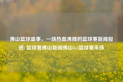 佛山篮球盛事，一场热血沸腾的篮球赛新闻报道l 篮球赛佛山新闻佛山3v3篮球赛朱珠