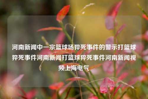 河南新闻中一宗篮球场猝死事件的警示打篮球猝死事件河南新闻打篮球猝死事件河南新闻视频上海电气