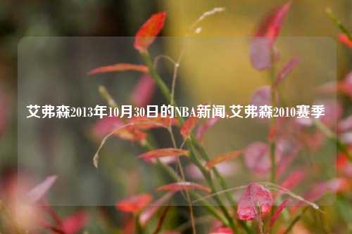 艾弗森2013年10月30日的NBA新闻,艾弗森2010赛季