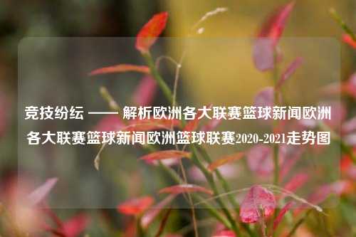 竞技纷纭 —— 解析欧洲各大联赛篮球新闻欧洲各大联赛篮球新闻欧洲篮球联赛2020-2021走势图