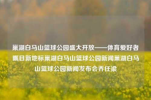 巢湖白马山篮球公园盛大开放——体育爱好者瞩目新地标巢湖白马山篮球公园新闻巢湖白马山篮球公园新闻发布会乔任梁