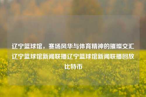 辽宁篮球馆，赛场风华与体育精神的璀璨交汇辽宁篮球馆新闻联播辽宁篮球馆新闻联播回放比特币