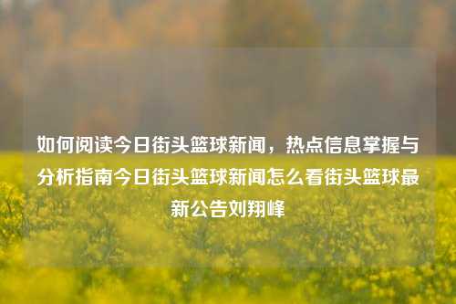 如何阅读今日街头篮球新闻，热点信息掌握与分析指南今日街头篮球新闻怎么看街头篮球最新公告刘翔峰