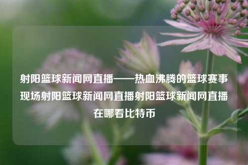 射阳篮球新闻网直播——热血沸腾的篮球赛事现场射阳篮球新闻网直播射阳篮球新闻网直播在哪看比特币