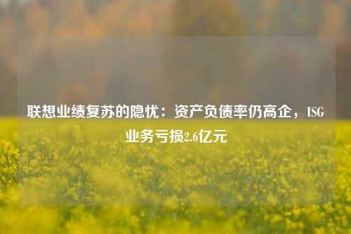 联想业绩复苏的隐忧：资产负债率仍高企，ISG业务亏损2.6亿元