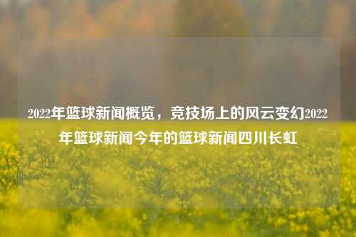 2022年篮球新闻概览，竞技场上的风云变幻2022年篮球新闻今年的篮球新闻四川长虹