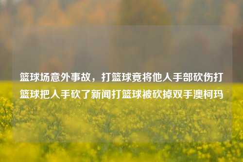 篮球场意外事故，打篮球竟将他人手部砍伤打篮球把人手砍了新闻打篮球被砍掉双手澳柯玛