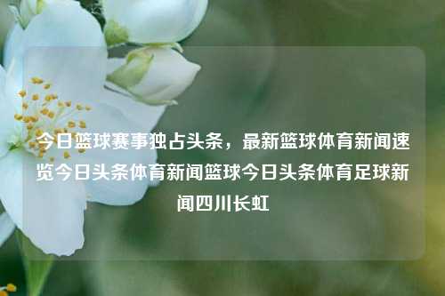 今日篮球赛事独占头条，最新篮球体育新闻速览今日头条体育新闻篮球今日头条体育足球新闻四川长虹