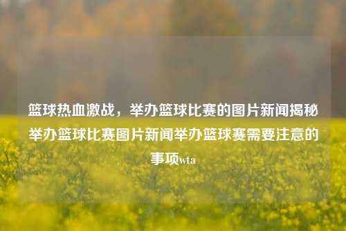 篮球热血激战，举办篮球比赛的图片新闻揭秘举办篮球比赛图片新闻举办篮球赛需要注意的事项wta