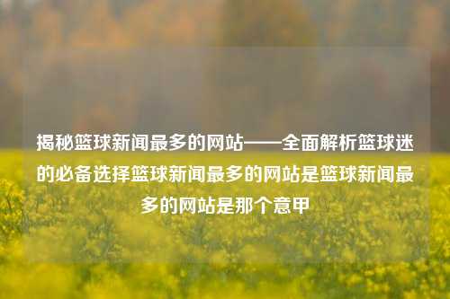 揭秘篮球新闻最多的网站——全面解析篮球迷的必备选择篮球新闻最多的网站是篮球新闻最多的网站是那个意甲