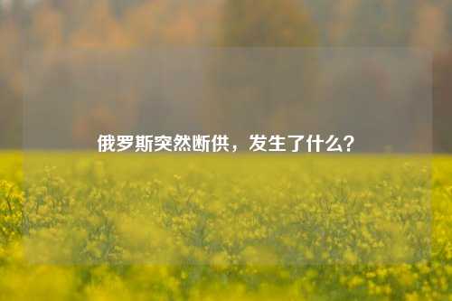 俄罗斯突然断供，发生了什么？