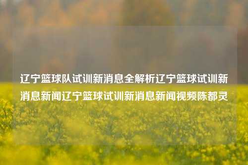 辽宁篮球队试训新消息全解析辽宁篮球试训新消息新闻辽宁篮球试训新消息新闻视频陈都灵