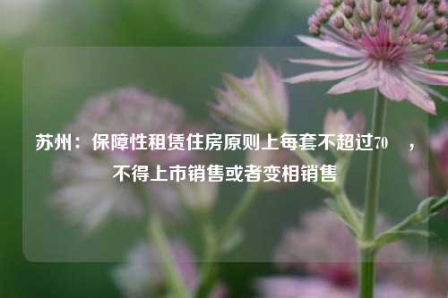 苏州：保障性租赁住房原则上每套不超过70㎡，不得上市销售或者变相销售