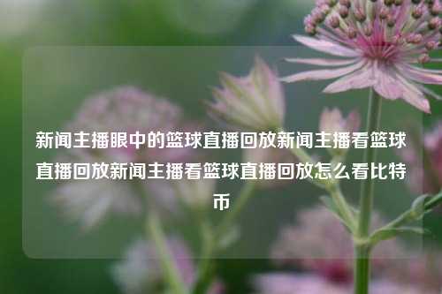 新闻主播眼中的篮球直播回放新闻主播看篮球直播回放新闻主播看篮球直播回放怎么看比特币