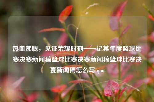 热血沸腾，见证荣耀时刻——记某年度篮球比赛决赛新闻稿篮球比赛决赛新闻稿篮球比赛决赛新闻稿怎么写iqoo