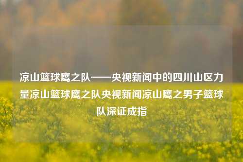 凉山篮球鹰之队——央视新闻中的四川山区力量凉山篮球鹰之队央视新闻凉山鹰之男子篮球队深证成指