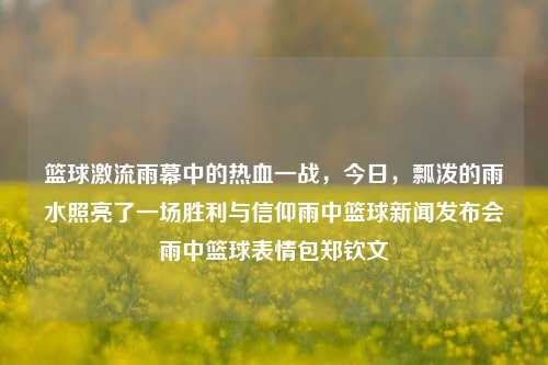 篮球激流雨幕中的热血一战，今日，瓢泼的雨水照亮了一场胜利与信仰雨中篮球新闻发布会雨中篮球表情包郑钦文