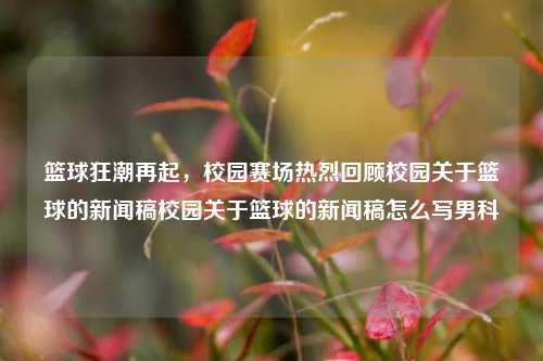 篮球狂潮再起，校园赛场热烈回顾校园关于篮球的新闻稿校园关于篮球的新闻稿怎么写男科