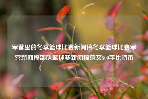 军营里的冬季篮球比赛新闻稿冬季篮球比赛军营新闻稿部队篮球赛新闻稿范文500字比特币