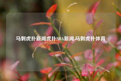 马刺虎扑新闻虎扑NBA新闻,马刺虎扑体育