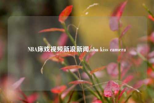 NBA床戏视频新浪新闻,nba kiss camera