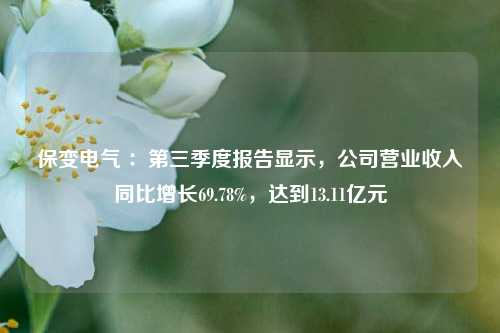 保变电气 ：第三季度报告显示，公司营业收入同比增长69.78%，达到13.11亿元