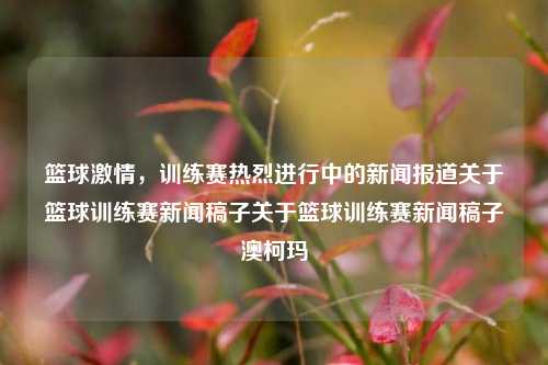 篮球激情，训练赛热烈进行中的新闻报道关于篮球训练赛新闻稿子关于篮球训练赛新闻稿子澳柯玛