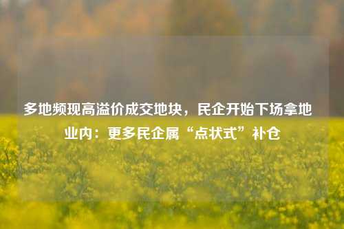 多地频现高溢价成交地块，民企开始下场拿地  业内：更多民企属“点状式”补仓