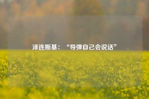 泽连斯基：“导弹自己会说话”