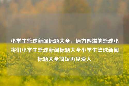 小学生篮球新闻标题大全，活力四溢的篮球小将们小学生篮球新闻标题大全小学生篮球新闻标题大全简短再见爱人