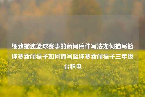 细致描述篮球赛事的新闻稿件写法如何描写篮球赛新闻稿子如何描写篮球赛新闻稿子三年级台积电