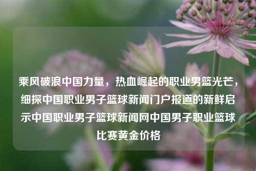 乘风破浪中国力量，热血崛起的职业男篮光芒，细探中国职业男子篮球新闻门户报道的新鲜启示中国职业男子篮球新闻网中国男子职业篮球比赛黄金价格