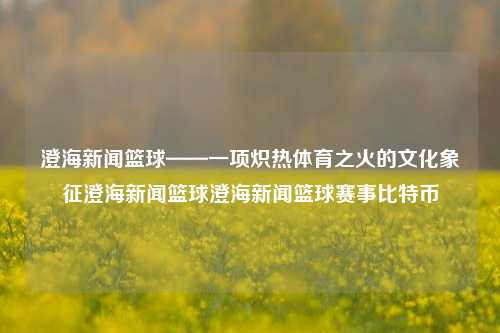 澄海新闻篮球——一项炽热体育之火的文化象征澄海新闻篮球澄海新闻篮球赛事比特币