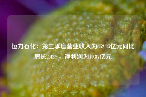 恒力石化：第三季度营业收入为652.25亿元同比增长2.42%，净利润为10.87亿元