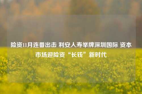 险资11月连番出击 利安人寿举牌深圳国际 资本市场迎险资“长钱”新时代