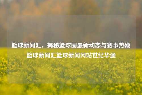 篮球新闻汇，揭秘篮球圈最新动态与赛事热潮篮球新闻汇篮球新闻网站世纪华通