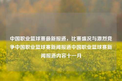 中国职业篮球赛最新报道，比赛盛况与激烈竞争中国职业篮球赛新闻报道中国职业篮球赛新闻报道内容十一月